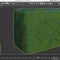 Two Well Trimmed Green Rectangular Shrubs In Block Shape For Garden Landscaping