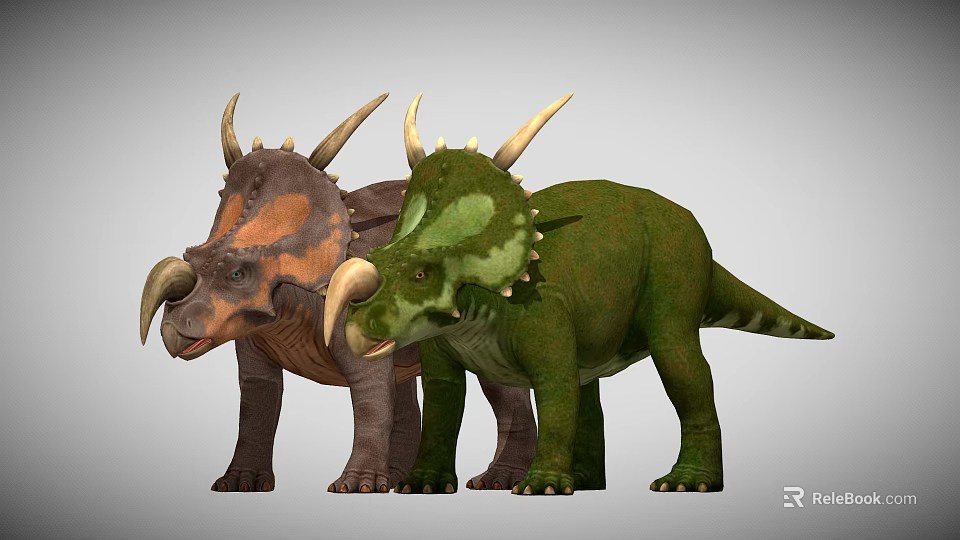 Two Triceratops Dinosaurs With Brown And Green Colors Horns And Spikes 3d model 