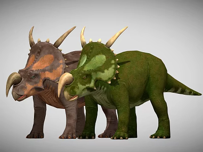 Two Triceratops Dinosaurs With Brown And Green Colors Horns And Spikes 3d model