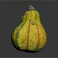Yellow Green Striped Pear Shaped Decorative Squash With Textured Surface And Green Stem