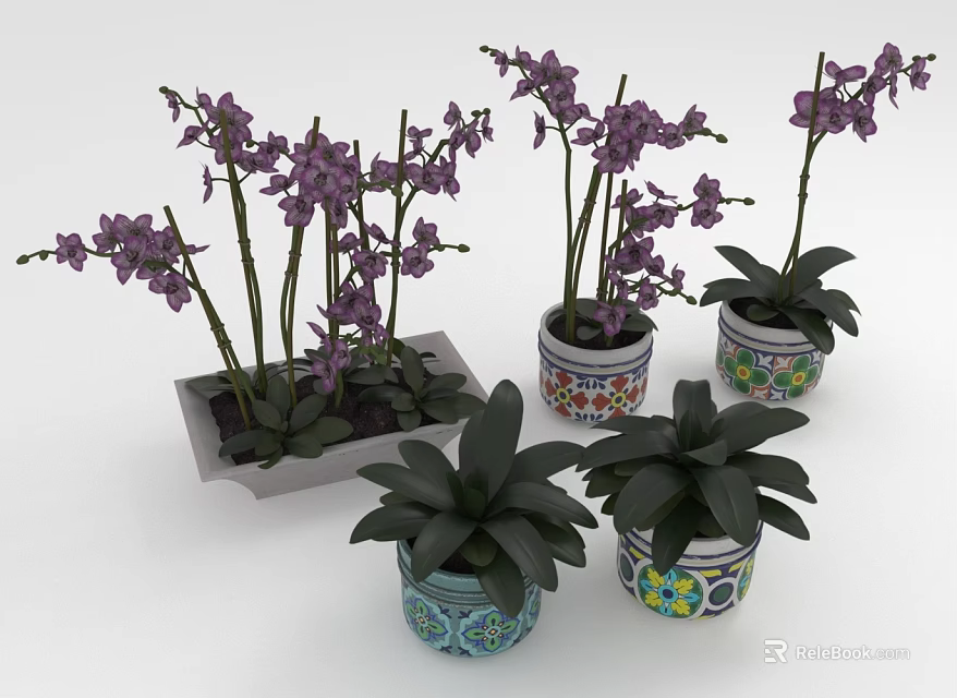 Purple Orchids in Various Decorative Pots with Colorful Patterns as Houseplants 3d model 