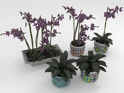Purple Orchids in Various Decorative Pots with Colorful Patterns as Houseplants 3d model