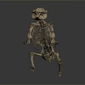 Anatomical Animal Skeleton With Detailed Bone Structure Display On Gray Background 3d model