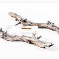 Natural Rustic Wood Logs with Weathered Texture for Home Decor Projects