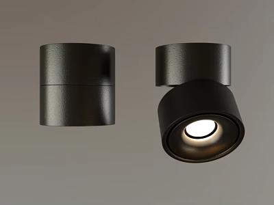 Stylish Black Downlights And Spotlights With Sleek Design For Interior Lighting 3d model