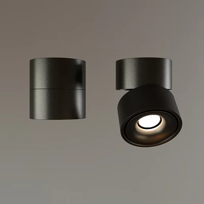 Stylish Black Downlights And Spotlights With Sleek Design For Interior Lighting 3d model