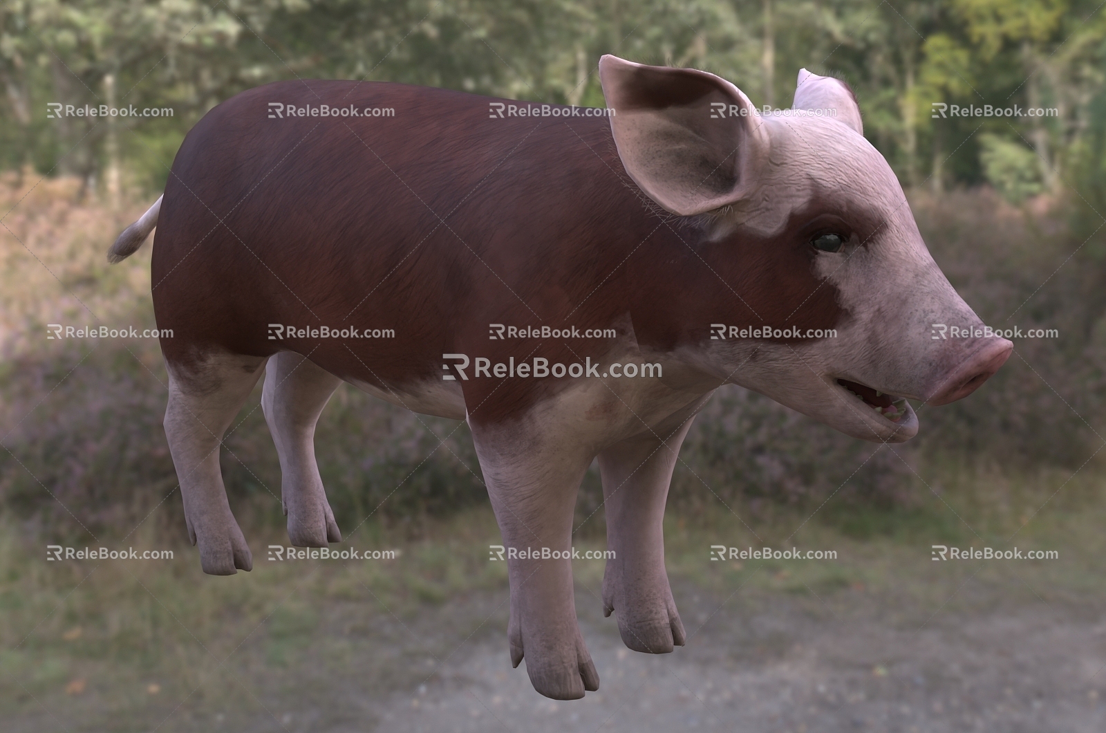 Modern Hereford Piggy Animal Creatures 3d model