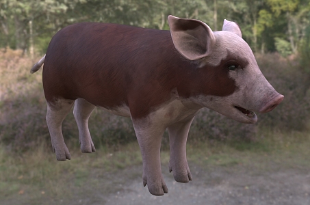 Modern Hereford Piggy Animal Creatures 3d model