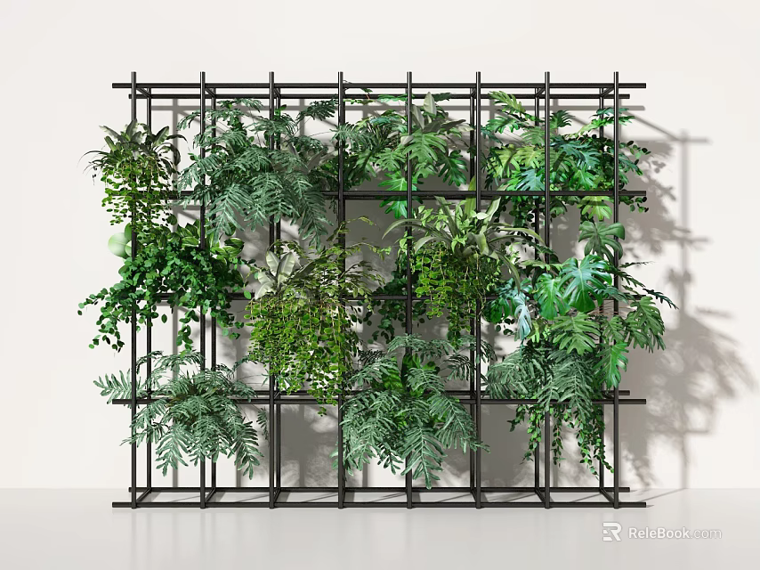 Living Plant Wall with Black Metal Frame and Various Green Plants on White Background 3d model 