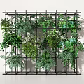 Living Plant Wall with Black Metal Frame and Various Green Plants on White Background
