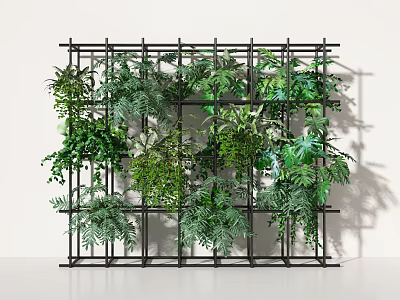 Modern Plant Wall Green Plant Wall Plant Green Plant Shelf Plant Beauty Chen 3d model