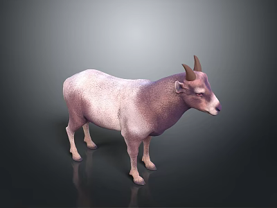 Realistic Pinkish Purple Horned Goat Standing On Dark Background 3d model
