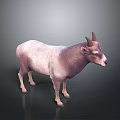 Realistic Pinkish Purple Horned Goat Standing On Dark Background