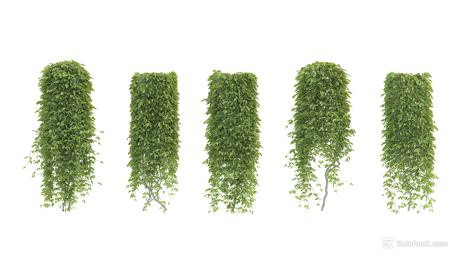 Green Hanging Vines with Lush Leaves Arranged in a Row 3d model 