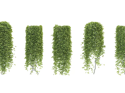 Green Hanging Vines with Lush Leaves Arranged in a Row 3d model