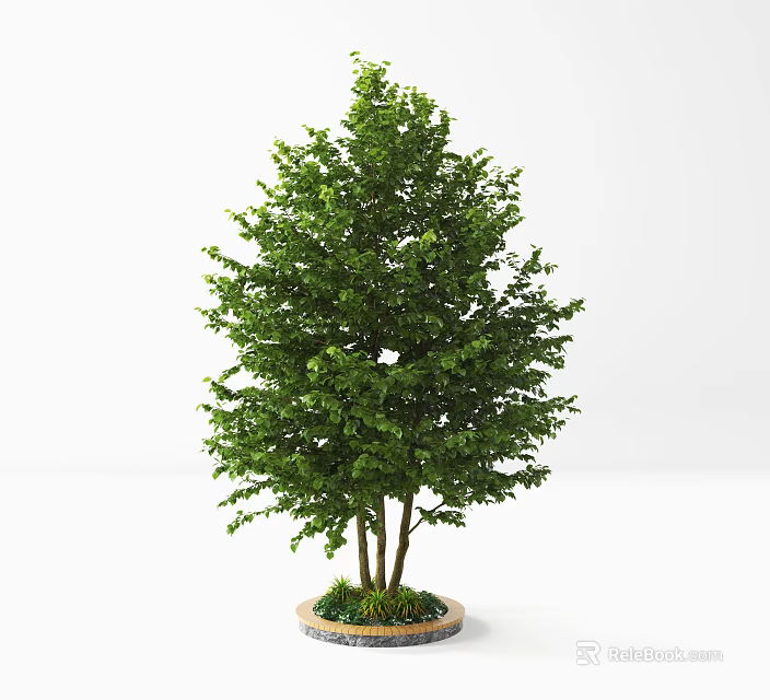 Lush Green Arbor With Dense Foliage Multiple Trunks And Small Plants In Round Planter 3d model 
