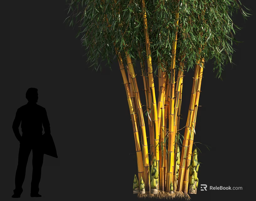 Yellow Bamboo Clump With Green Leaves On Black Background And Human Silhouette 3d model 