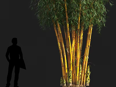 Yellow Bamboo Clump With Green Leaves On Black Background And Human Silhouette 3d model