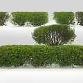 Pruned Green Garden Shrubs with Round and Rectangular Shapes for Landscaping 3d model