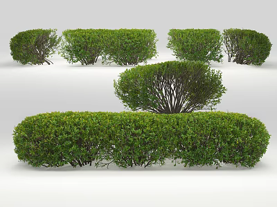 Modern Shrub Shrub 3d model Modern Shrub Shrub 3d model