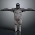 Realistic Gorilla 3D Model in Standing Pose With Arms Outstretched Gray Background 3d model