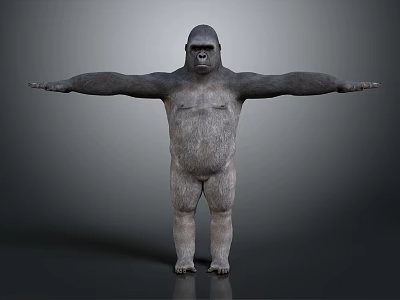 Realistic Gorilla 3D Model in Standing Pose With Arms Outstretched Gray Background 3d model