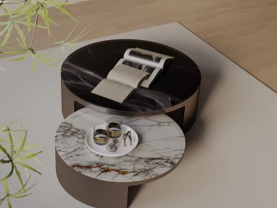 Modern Nested Marble Coffee Table Set With Open Book Glasses And Bamboo Leaves 3d model