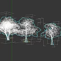 Botanical Tree Paintings With Three Different Sizes Gray Green Foliage And Dark Background 3d model
