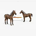 Two Brown Horses Standing With Mane And Tail On White Background