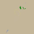 Green and Yellow Wheat Ears With Stems On White Background Showing Shadows