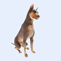 Modern Dog Black Dog 3d model