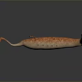 Realistic 3D Rendering Of Pink Spotted Creature With Long Snout Tail And Fins