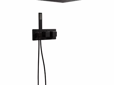 Modern Black Wall Mounted Faucet With Single Handle And Handheld Sprayer 3d model