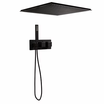 Modern Black Wall Mounted Faucet With Single Handle And Handheld Sprayer 3d model