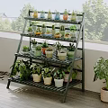 Wooden Multi Tier Plant Stand Displaying Various Potted Succulents And Green Plants