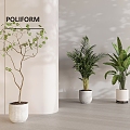 green plant potted plant combined ceramic pot plant green plant 3d model