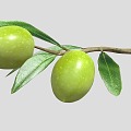 Modern olive fruit food 3d model