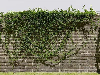 Lush Green Vines Covering Weathered Brick Wall With Natural Foliage And Shadows 3d model