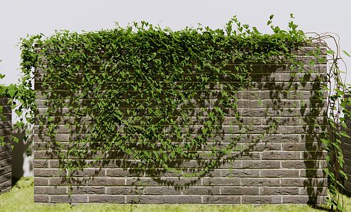 Modern Vine Jin Ping Vine Wall Greening Wall Greening 3d model