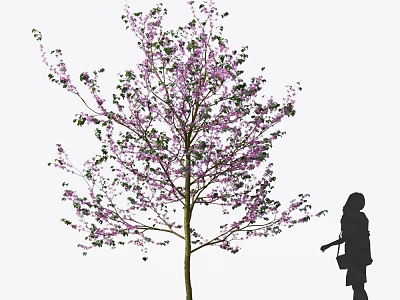 Blooming Arbor With Purple Flowers And Human Silhouette In Natural Environment 3d model