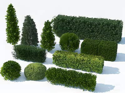 Evergreen Arbor Collection With Pruned Spherical Conical And Rectangular Shapes For Garden Landscape 3d model