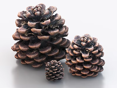 Natural Decorative Ornament Set With Three Different Sizes Pine Cones For Tabletop 3d model