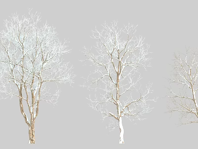 Arbor Trees With Snow Covered Branches And Different Trunk Colors On Gray Background 3d model