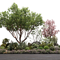 Modern Tree Plant Landscape Cluster 3d model