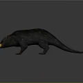 3D Modeled Platypus With Gray Body Long Flat Bill Red Eyes And Gray Gradient Background