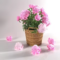 Pink Flowers In Wicker Basket With Scattered Blooms On Light Tabletop
