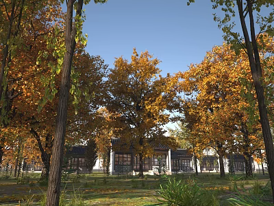 Autumn Scenery With Tall Trees Yellow Orange Leaves Buildings And Green Grass Under Blue Sky 3d model