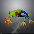 Vibrant Red-eyed Tree Frog With Green Body Blue Legs And Orange Toes