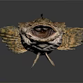 Rough Skinned Fish With Open Mouth And Unique Fins On Dark Background