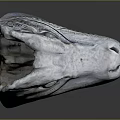 Lifelike Stone Crocodile Head Sculpture Displaying Open Mouth Sharp Teeth And Intricate Carvings